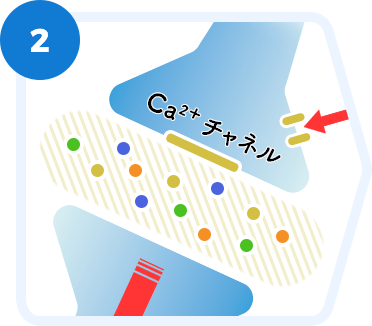 痛み止めの薬って何があるの？